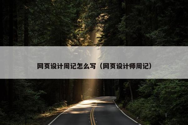 网页设计周记怎么写（网页设计师周记）