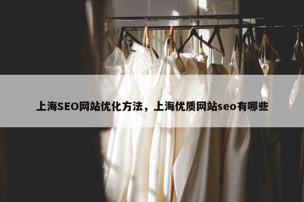 上海SEO网站优化方法，上海优质网站seo有哪些