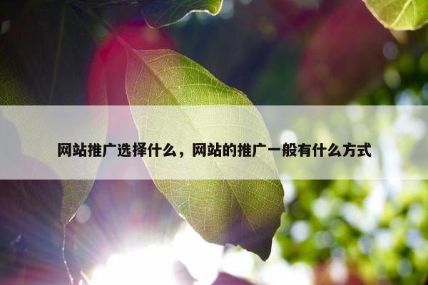 网站推广选择什么，网站的推广一般有什么方式