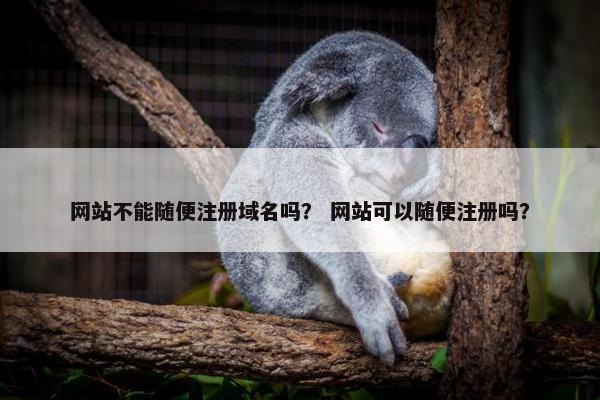 网站不能随便注册域名吗？ 网站可以随便注册吗？