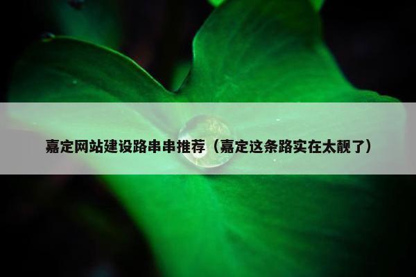 嘉定网站建设路串串推荐（嘉定这条路实在太靓了）