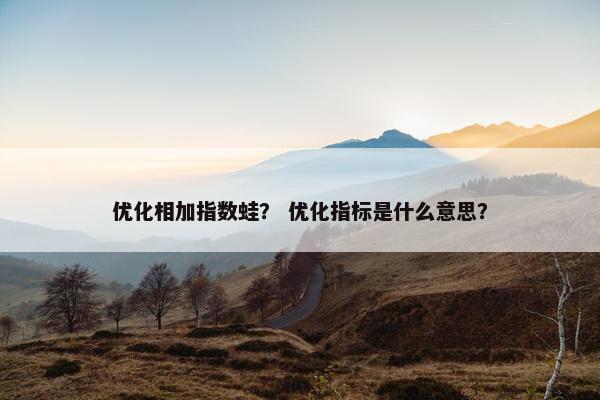 优化相加指数蛙？ 优化指标是什么意思？