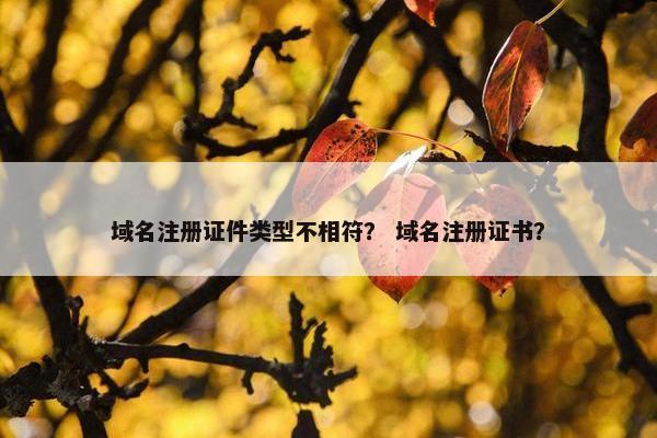 域名注册证件类型不相符？ 域名注册证书？