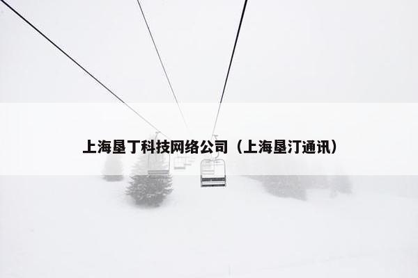 上海垦丁科技网络公司（上海垦汀通讯）