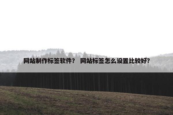 网站制作标签软件？ 网站标签怎么设置比较好？