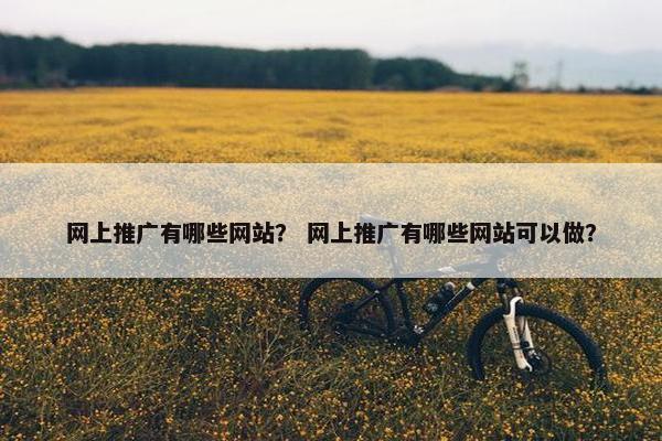 网上推广有哪些网站？ 网上推广有哪些网站可以做？