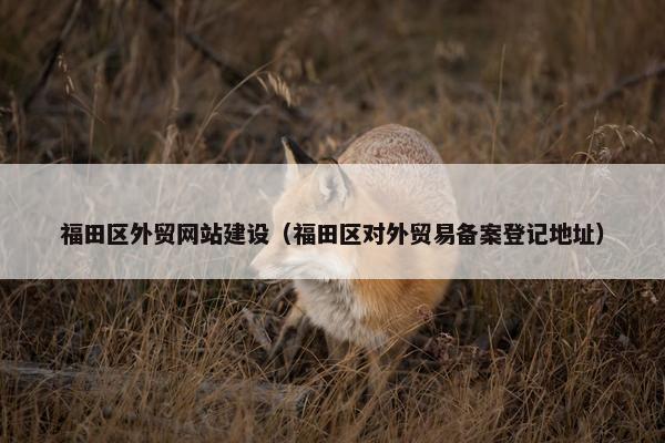 福田区外贸网站建设（福田区对外贸易备案登记地址）