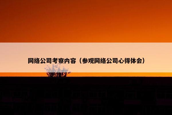网络公司考察内容（参观网络公司心得体会）