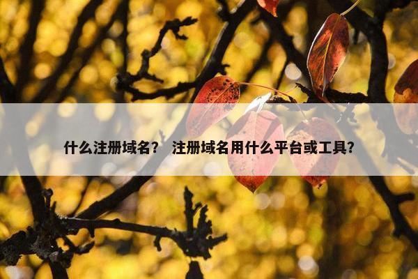什么注册域名？ 注册域名用什么平台或工具？