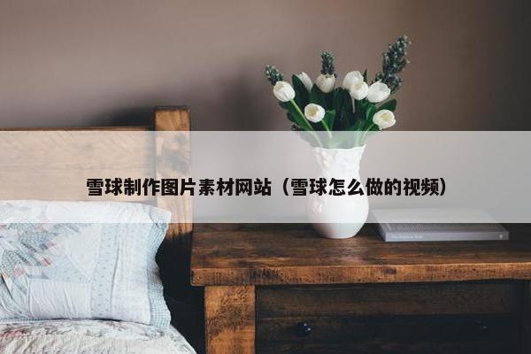 雪球制作图片素材网站（雪球怎么做的视频）