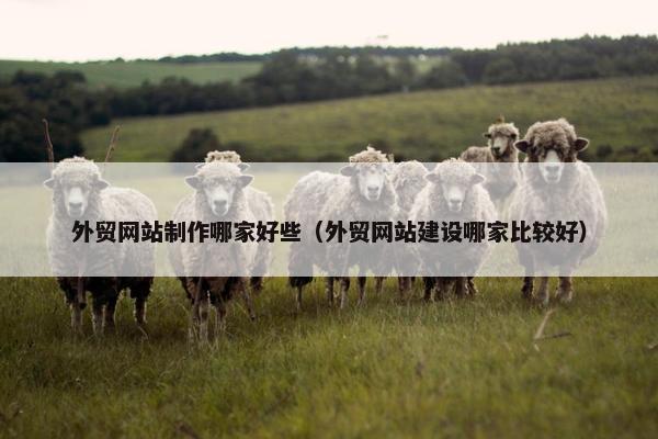 外贸网站制作哪家好些（外贸网站建设哪家比较好）