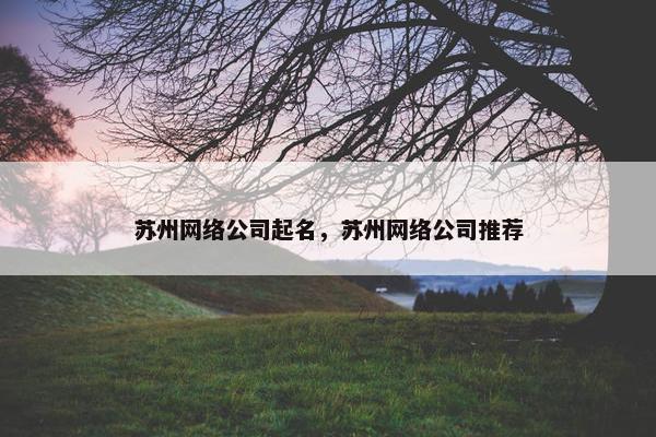 苏州网络公司起名，苏州网络公司推荐