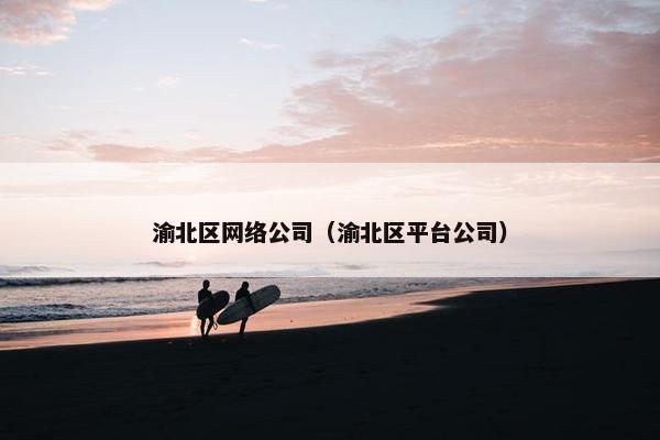 渝北区网络公司（渝北区平台公司）