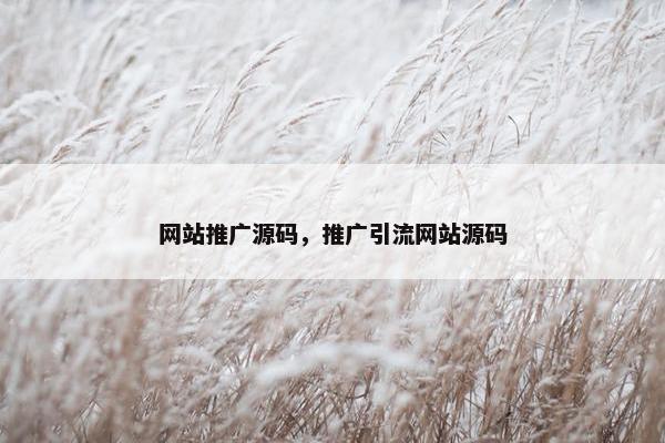 网站推广源码，推广引流网站源码