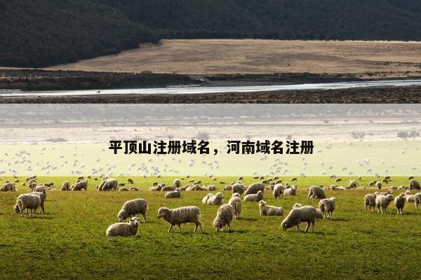 平顶山注册域名，河南域名注册