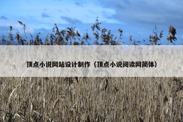 顶点小说网站设计制作（顶点小说阅读网简体）