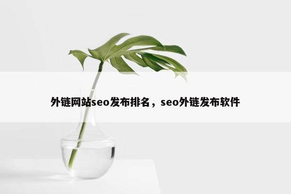 外链网站seo发布排名，seo外链发布软件