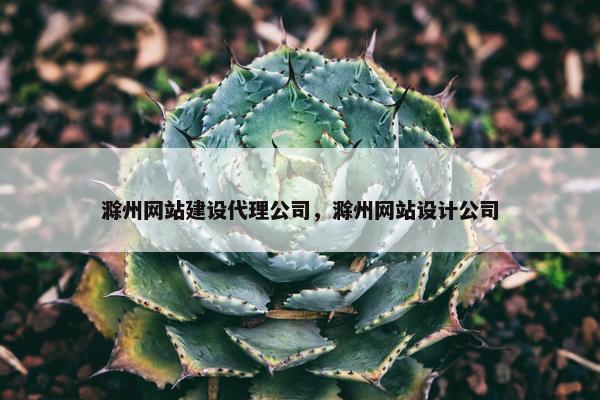 滁州网站建设代理公司，滁州网站设计公司