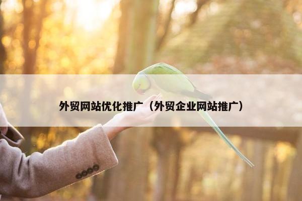 外贸网站优化推广（外贸企业网站推广）