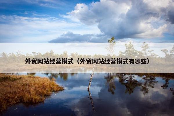 外贸网站经营模式（外贸网站经营模式有哪些）