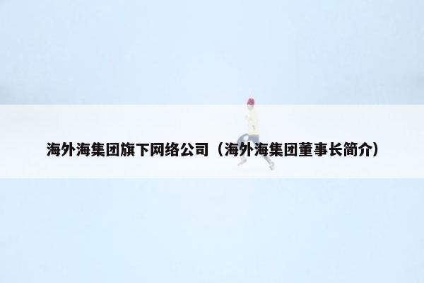海外海集团旗下网络公司（海外海集团董事长简介）