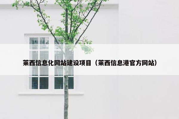 莱西信息化网站建设项目（莱西信息港官方网站）