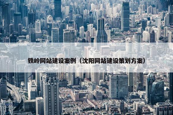 铁岭网站建设案例（沈阳网站建设策划方案）