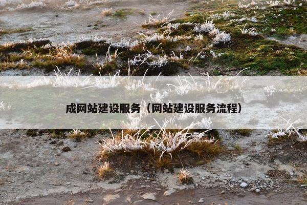 成网站建设服务（网站建设服务流程）