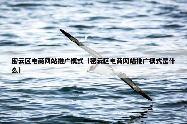 密云区电商网站推广模式（密云区电商网站推广模式是什么）