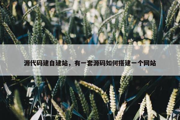 源代码建自建站，有一套源码如何搭建一个网站