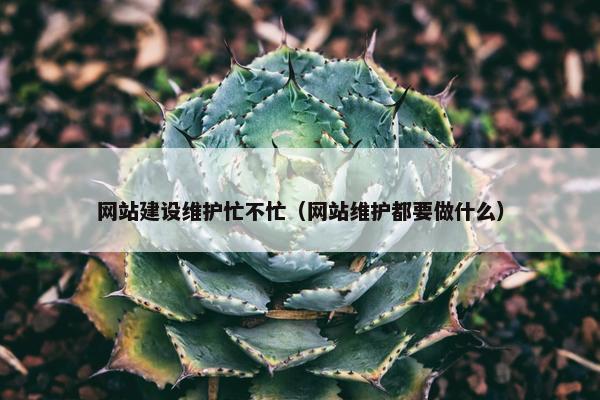 网站建设维护忙不忙（网站维护都要做什么）
