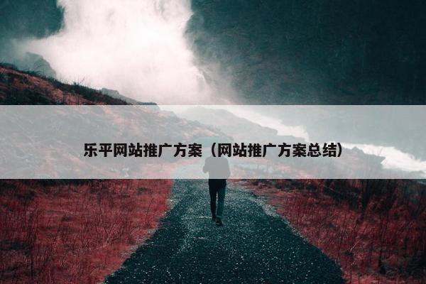 乐平网站推广方案（网站推广方案总结）