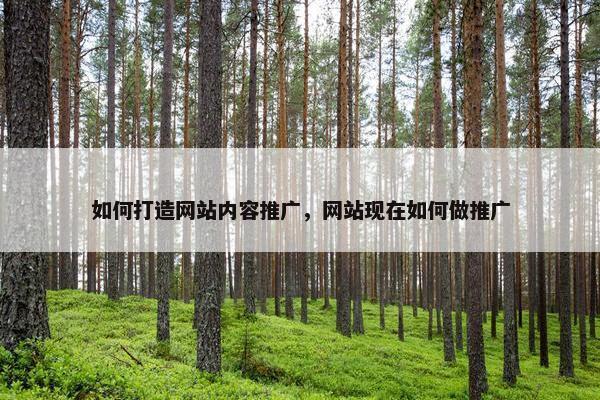如何打造网站内容推广，网站现在如何做推广