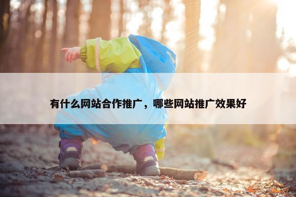 有什么网站合作推广，哪些网站推广效果好