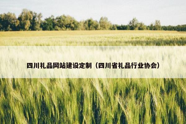 四川礼品网站建设定制（四川省礼品行业协会）