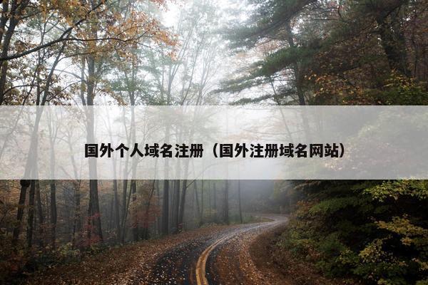 国外个人域名注册（国外注册域名网站）