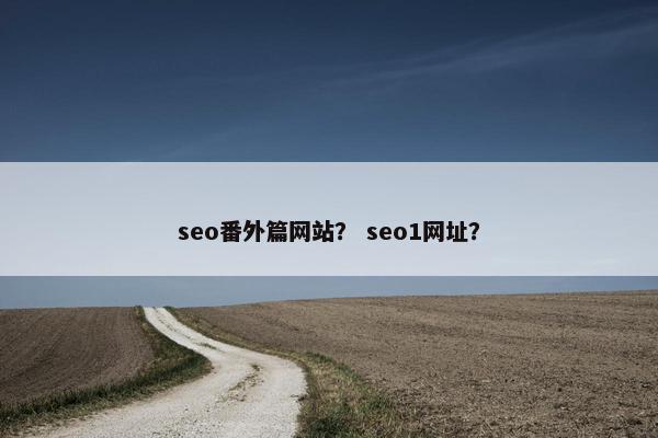 seo番外篇网站？ seo1网址？
