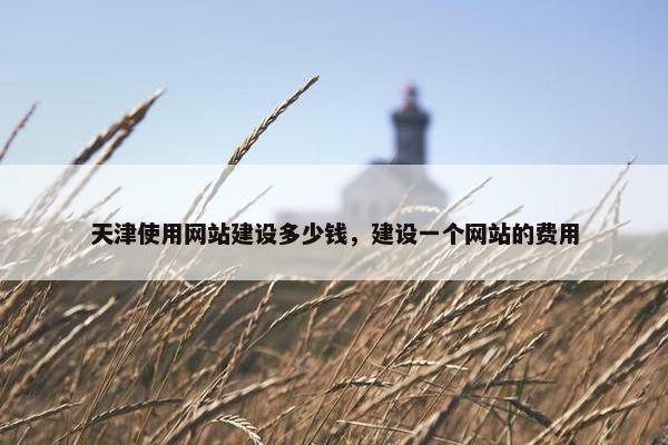 天津使用网站建设多少钱，建设一个网站的费用