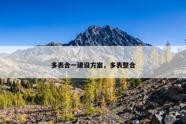 多表合一建设方案，多表整合
