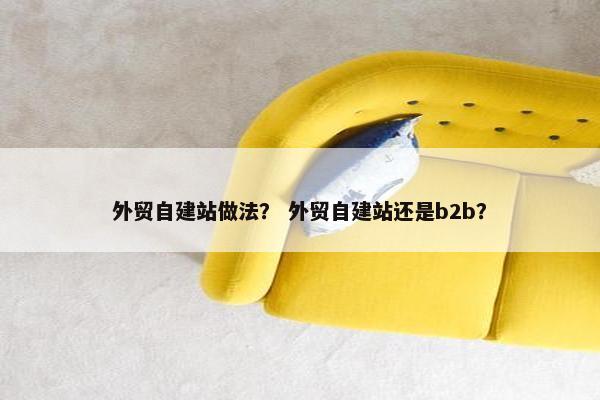 外贸自建站做法？ 外贸自建站还是b2b？