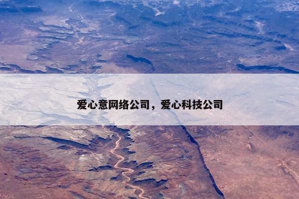 爱心意网络公司，爱心科技公司