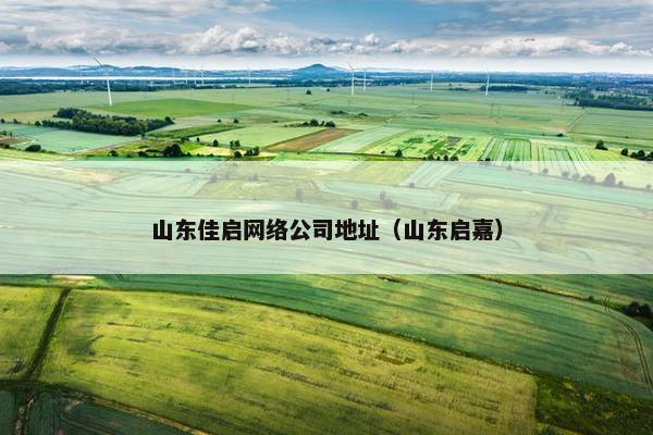 山东佳启网络公司地址（山东启嘉）