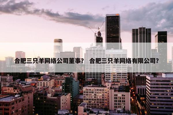 合肥三只羊网络公司董事？ 合肥三只羊网络有限公司？