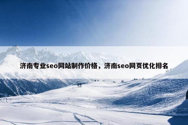 济南专业seo网站制作价格，济南seo网页优化排名
