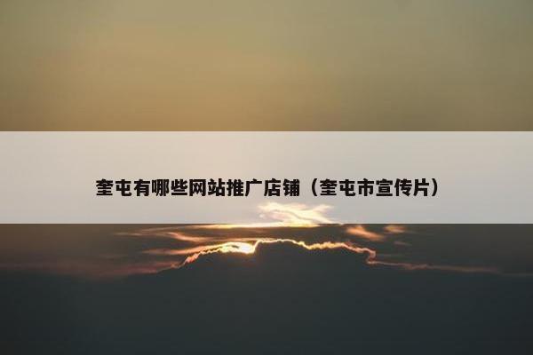 奎屯有哪些网站推广店铺（奎屯市宣传片）
