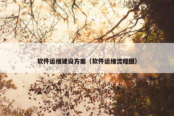 软件运维建设方案（软件运维流程图）