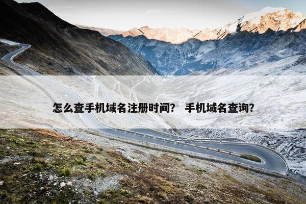 怎么查手机域名注册时间？ 手机域名查询？