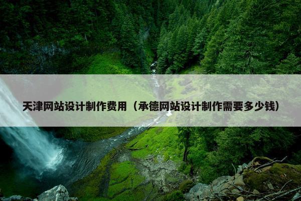 天津网站设计制作费用（承德网站设计制作需要多少钱）