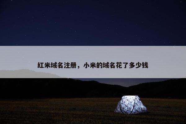 红米域名注册，小米的域名花了多少钱