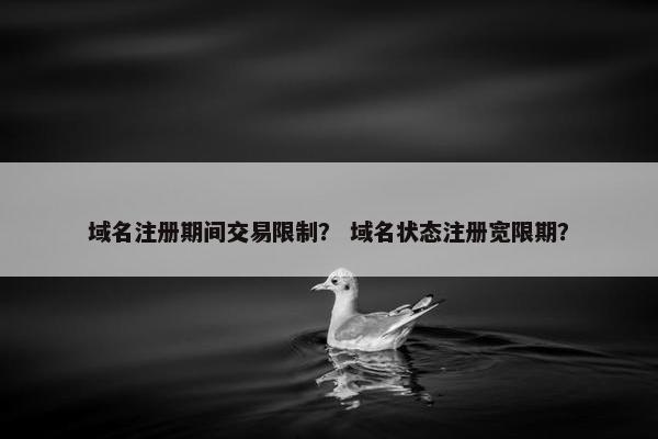 域名注册期间交易限制？ 域名状态注册宽限期？